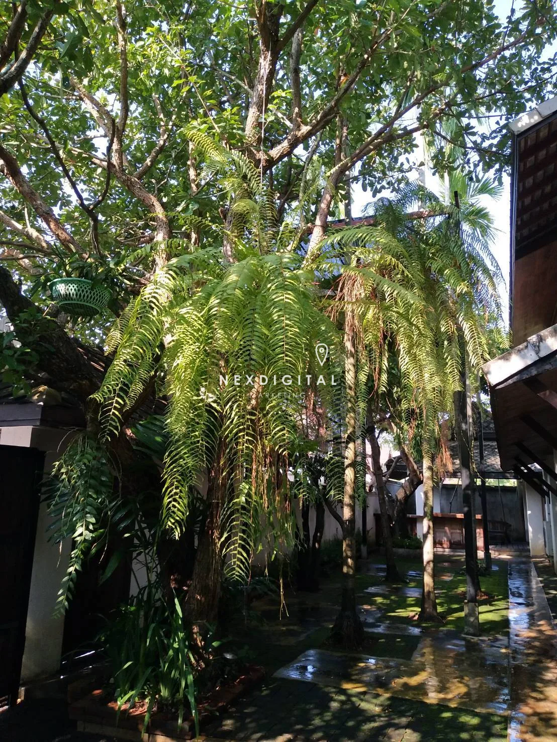 บ้านหรูสไตล์ ล้านนาแท้ 2 ชั้น หลังคาซ้อนหลายชั้น อลังการ  6 Story 5 ห้องนอน 8 ห้องน้ำ - 10